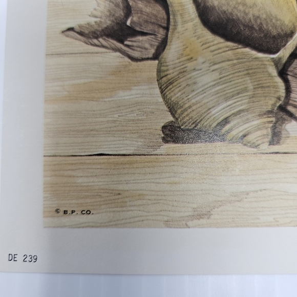 Vintage Beach Seashells Art Print Artist Signed Frank Massa 1978 The Guild NY - Picture 11 of 13